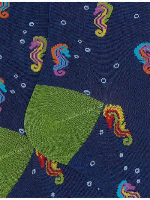 AP51672612679 FANTASIA gallo | AP51672612679 FANTASIA